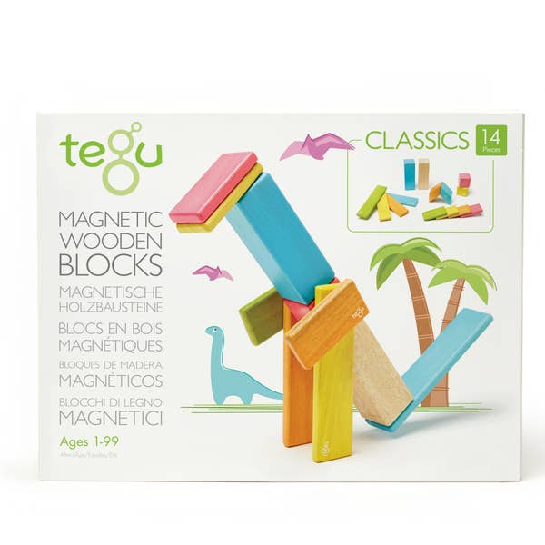 Tegu 14 Piece Magnetic Wooden Block Set Tint